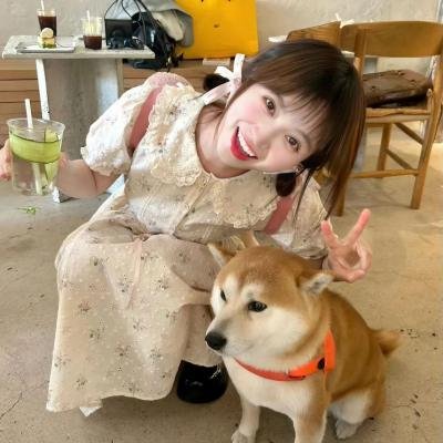 从容的快板